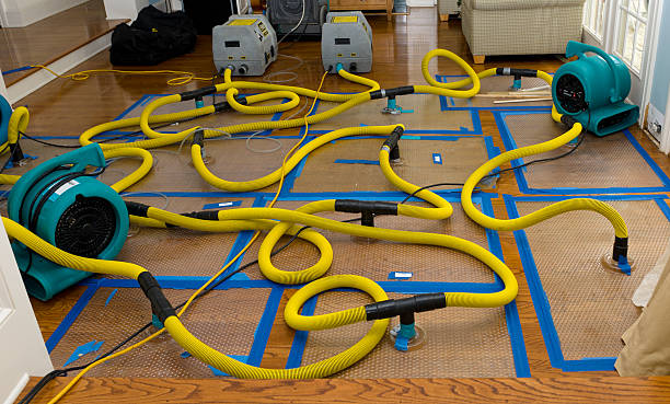 Professional Water Damage Restoration technician working in Groveland, FL